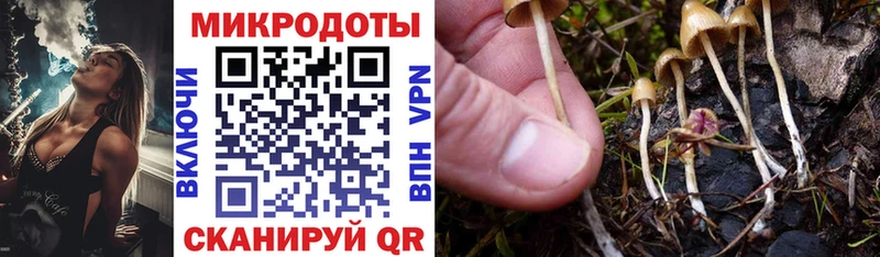 Псилоцибиновые грибы ЛСД  Мещовск 